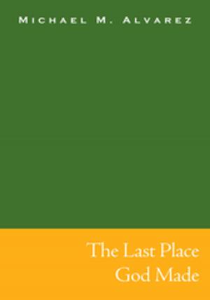 Book cover of The Last Place God Made