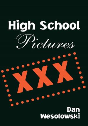 Cover of the book High School Pictures by Bernice Zakin