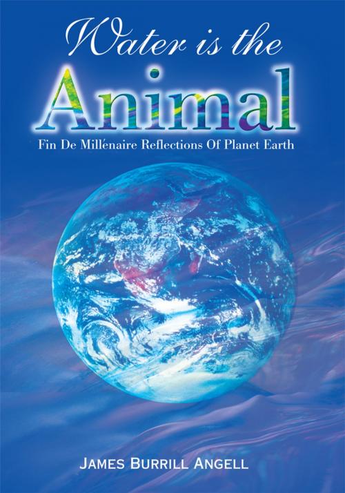 Cover of the book Water Is the Animal by James Burrill Angell, iUniverse