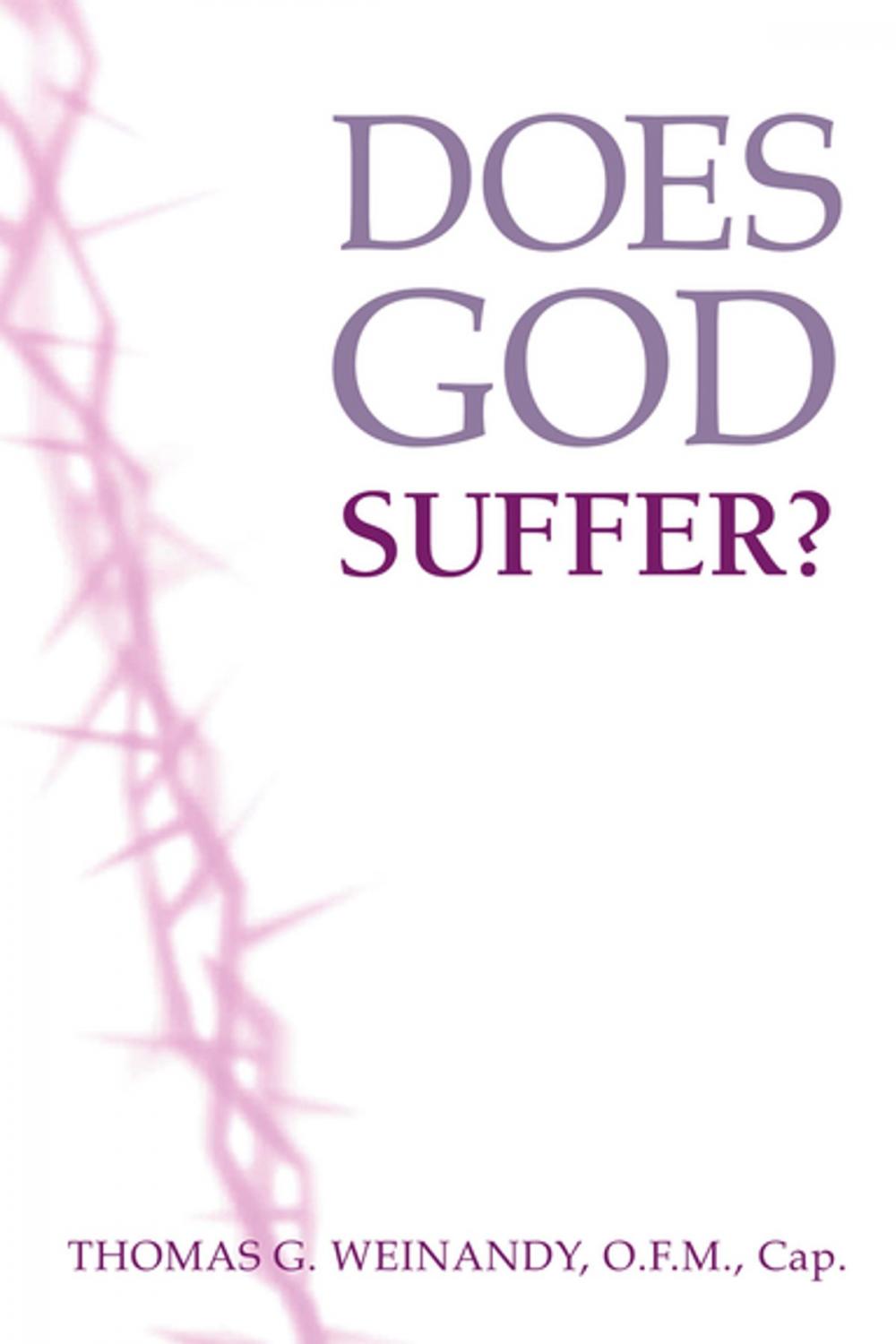 Big bigCover of Does God Suffer?