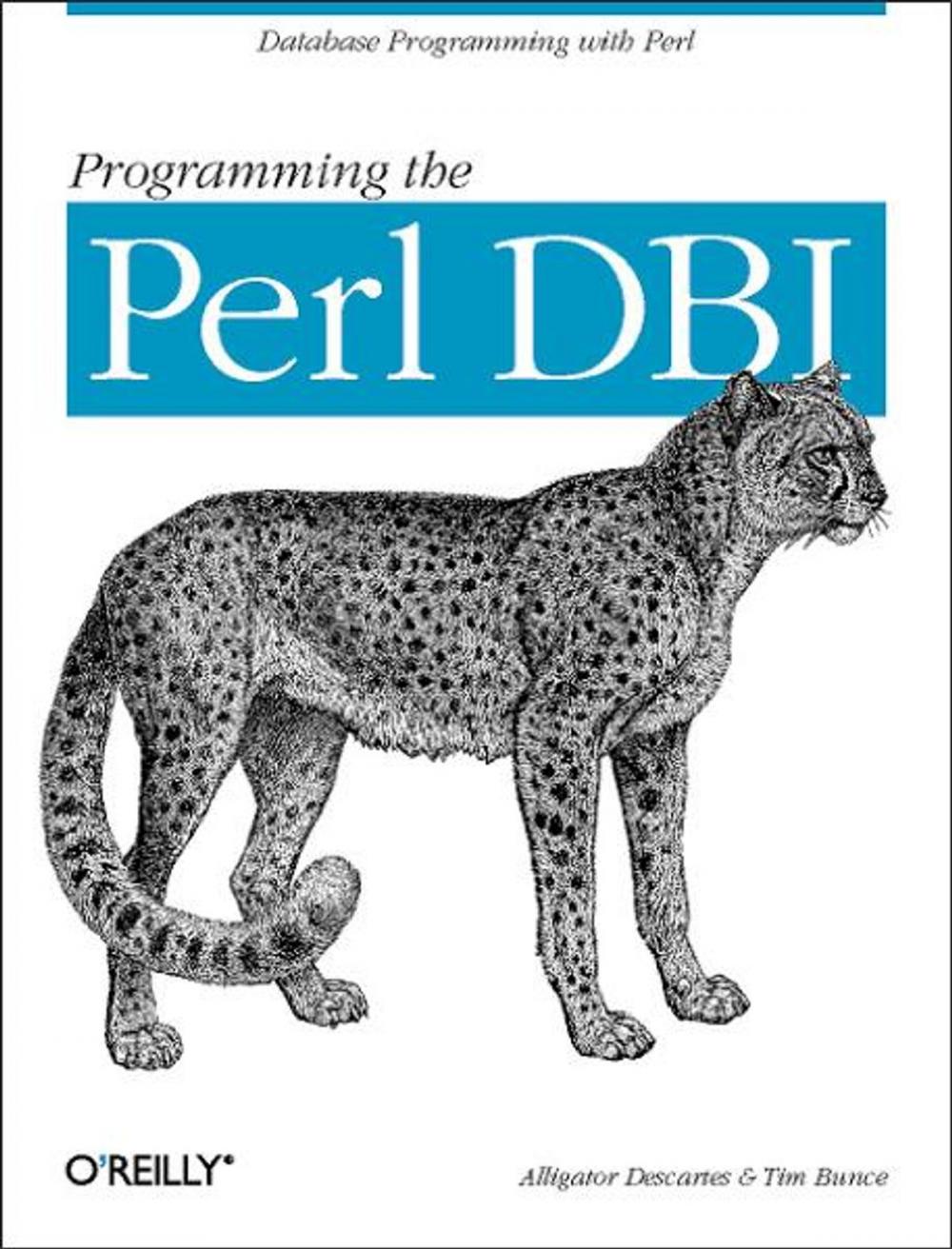 Big bigCover of Programming the Perl DBI