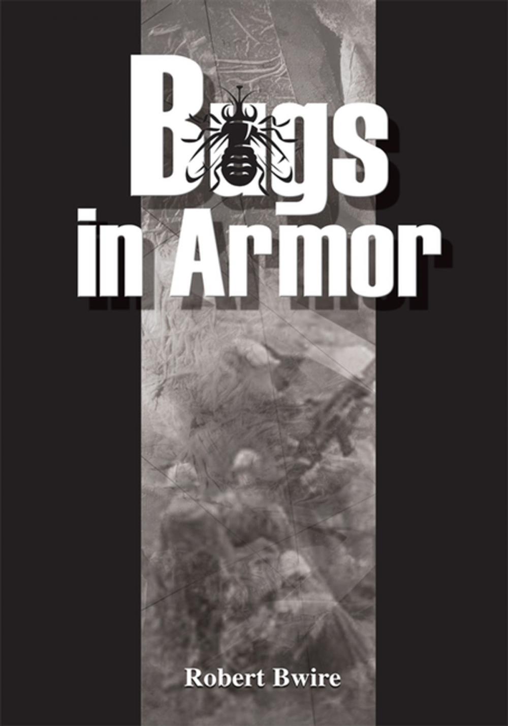 Big bigCover of Bugs in Armor