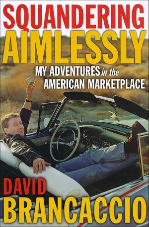 Cover of the book Squandering Aimlessly by David Rabe