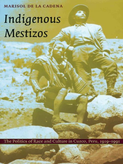 Cover of the book Indigenous Mestizos by Marisol de la Cadena, Duke University Press