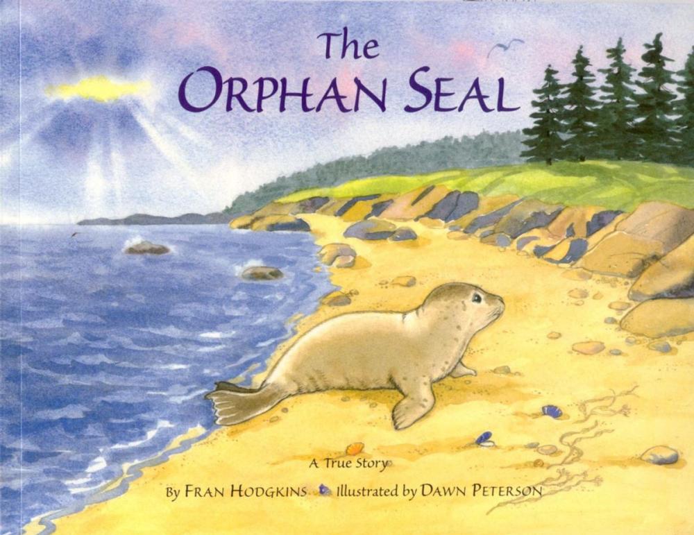 Big bigCover of The Orphan Seal