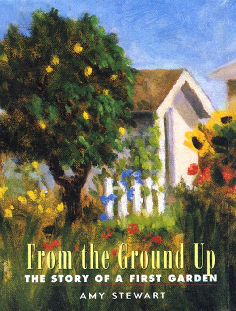 Big bigCover of From the Ground Up