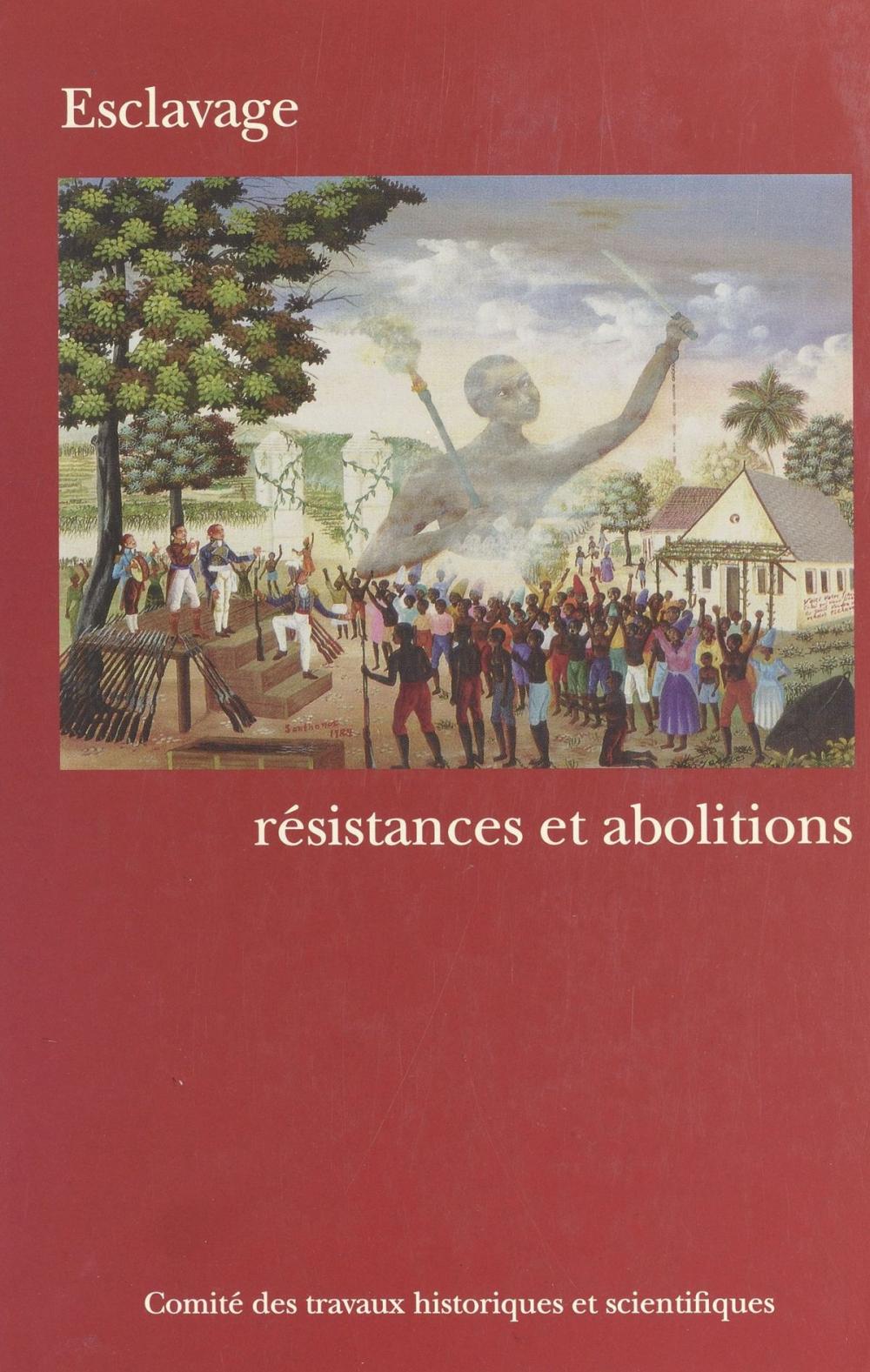 Big bigCover of Esclavage : Résistances et abolitions