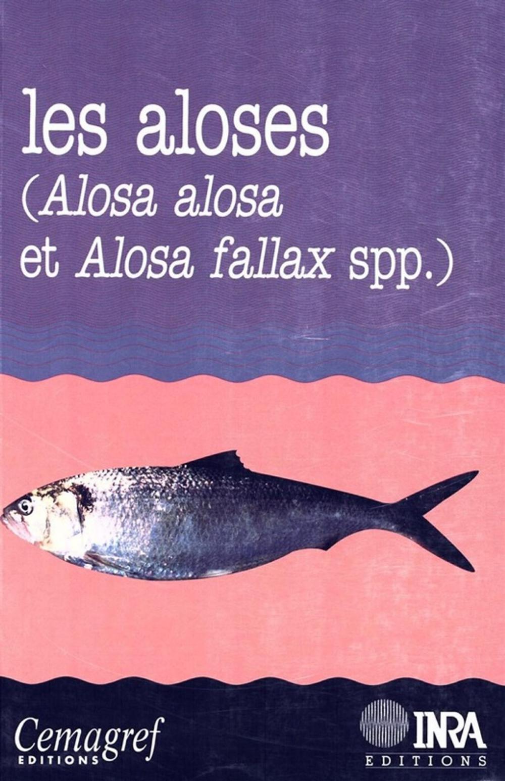 Big bigCover of Les aloses (Alosa alosa et Alosa fallax spp.)