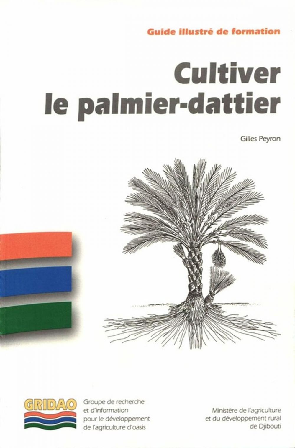 Big bigCover of Cultiver le palmier-dattier