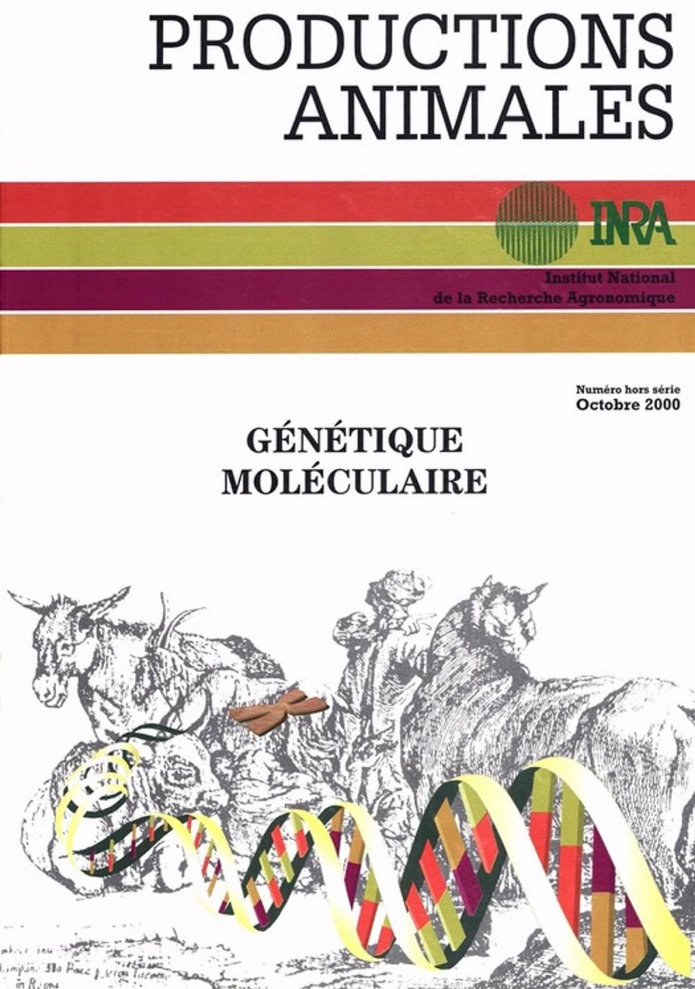 Big bigCover of Génétique moléculaire : principes et application aux populations animales