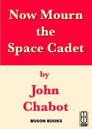 Book cover of Now Mourn the Space Cadet: Book 2, Connor Beach Crime Series