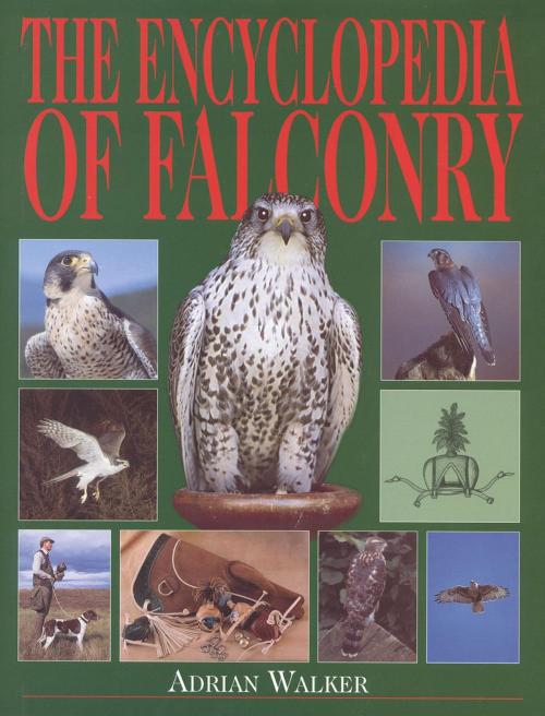 Cover of the book The Encyclopedia of Falconry by Adrian Walker, Derrydale Press