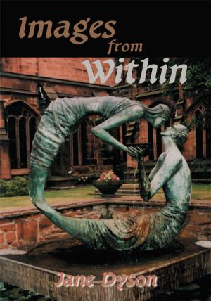 Cover of the book Images from Within by Robert B Davis II