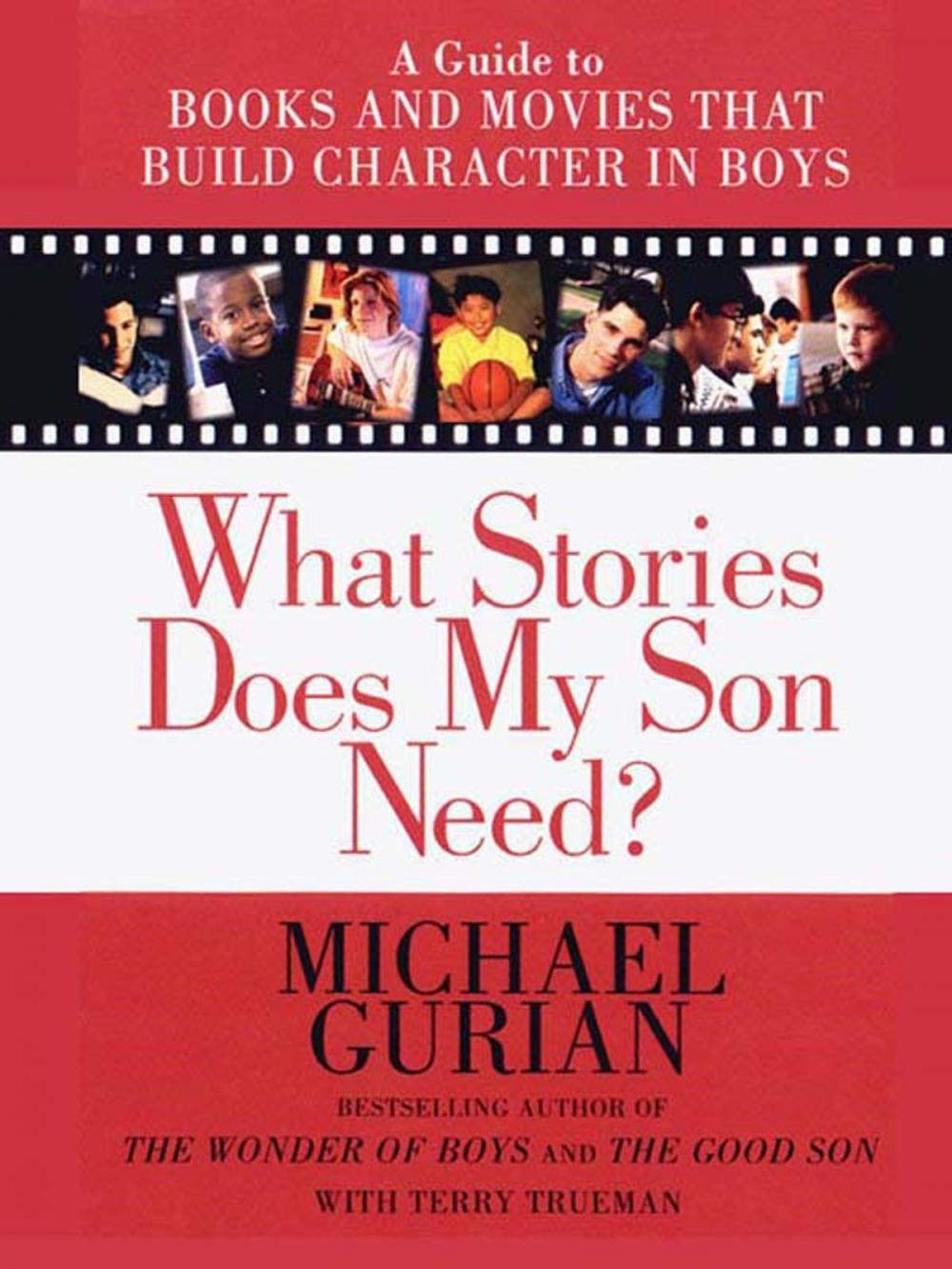 Big bigCover of What Stories Does My Son Need?