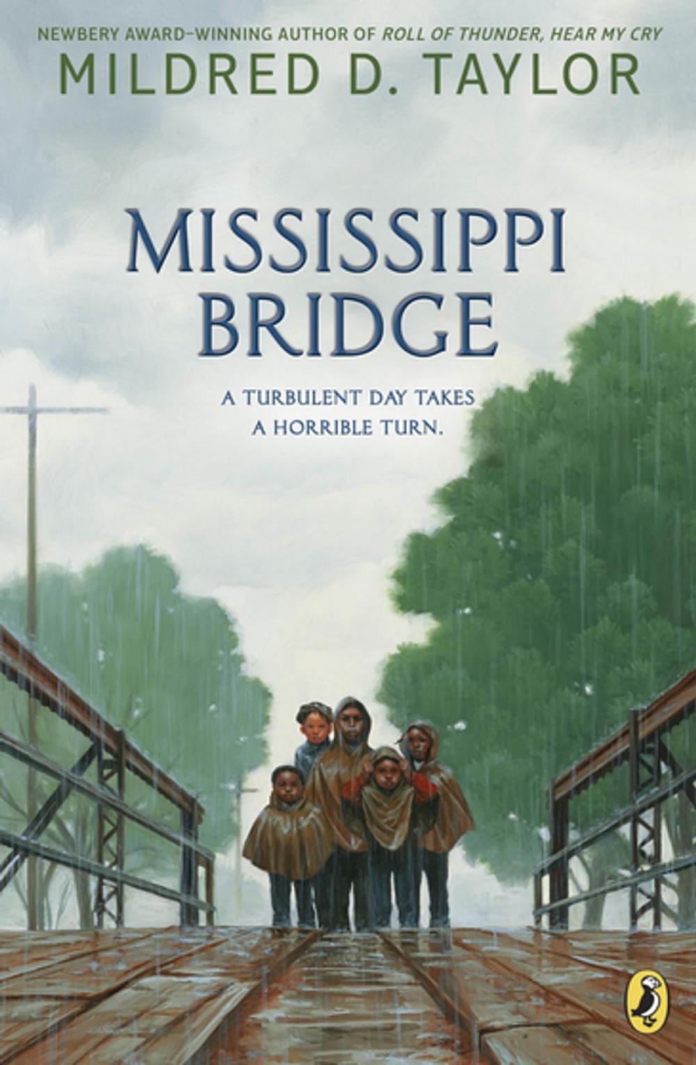 Big bigCover of Mississippi Bridge