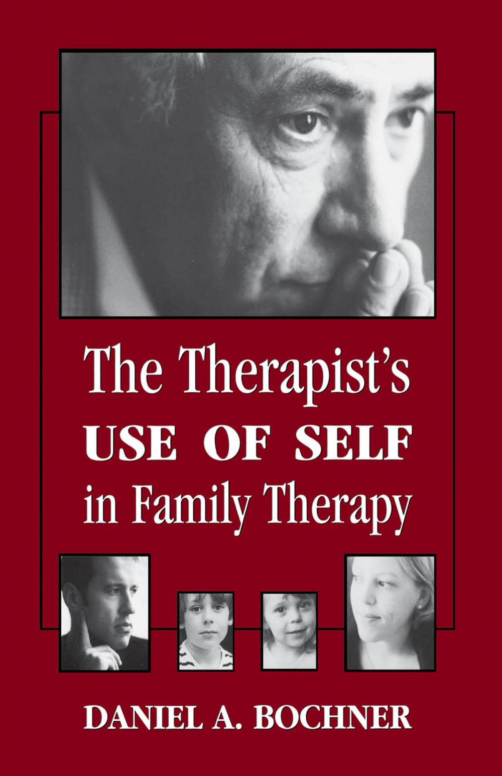 Big bigCover of Therapists Use of Self in Family Therapy