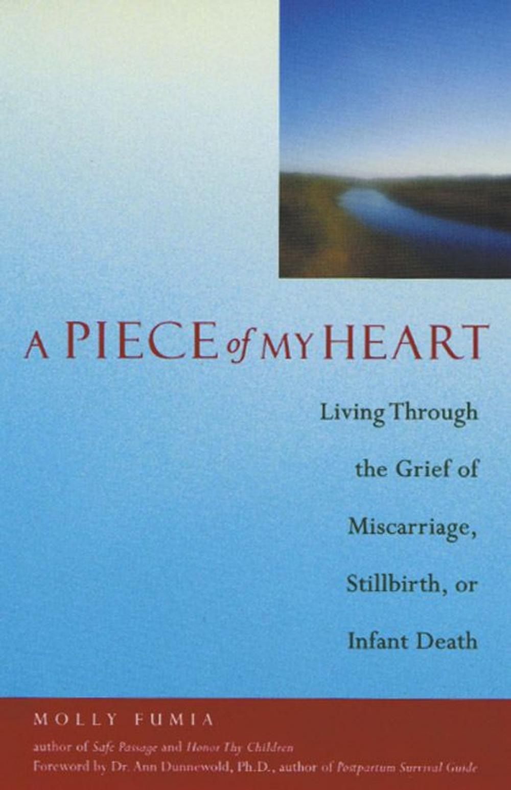 Big bigCover of A Piece of My Heart: Living Through the Grief of Miscarriage Stillbirth or Infant Death