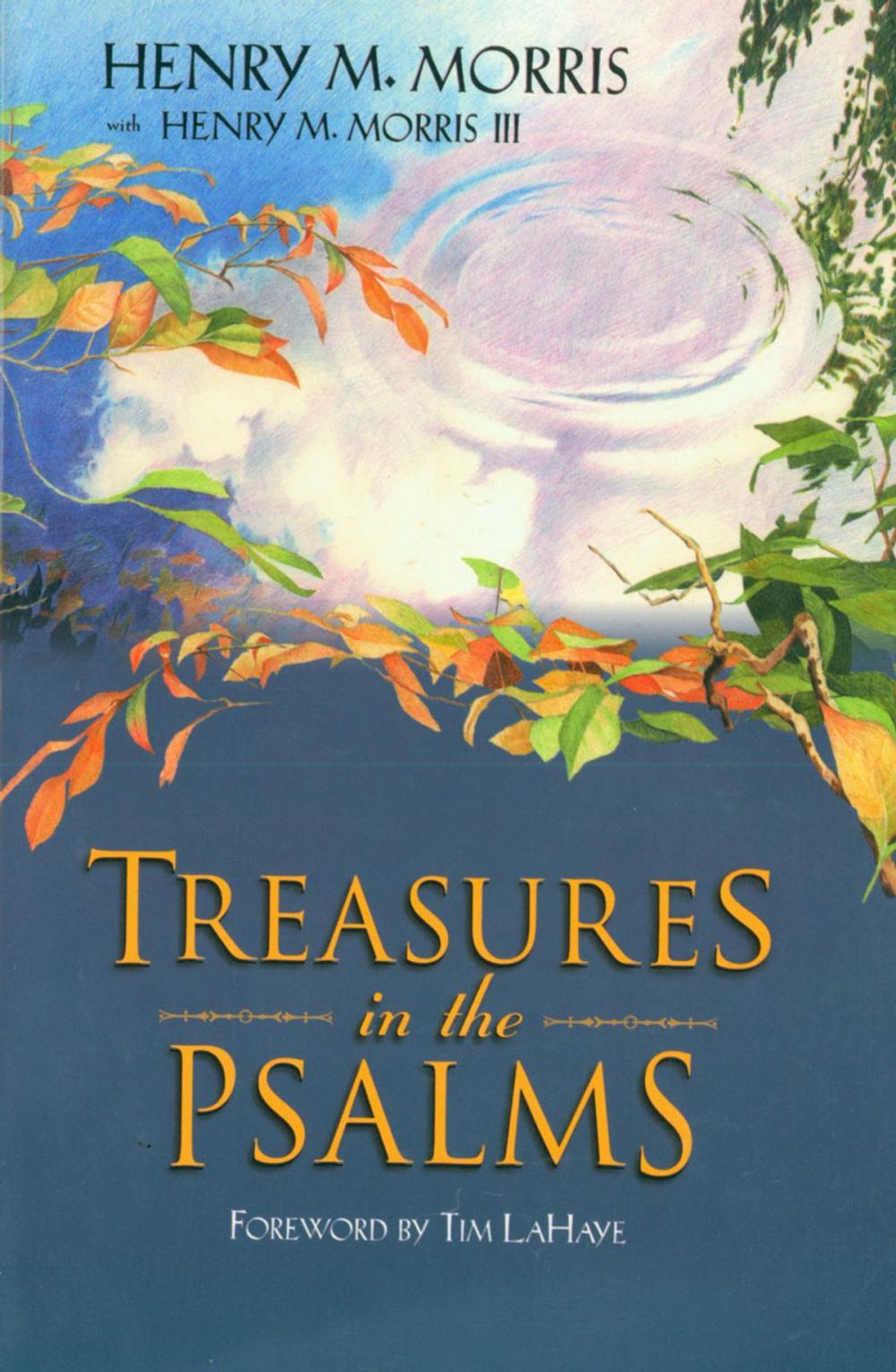 Big bigCover of Treasures in the Psalms