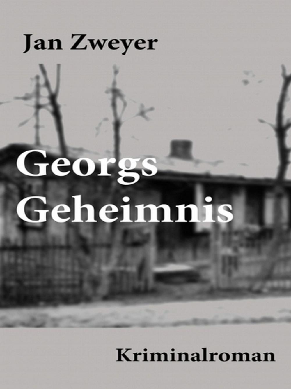 Big bigCover of Georgs Geheimnis