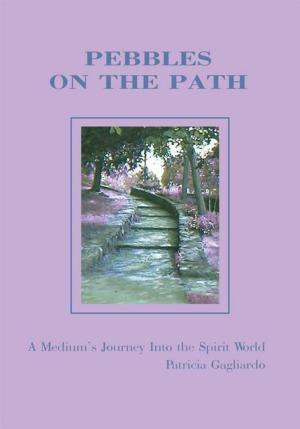 Cover of the book Pebbles on the Path by Tom Frist