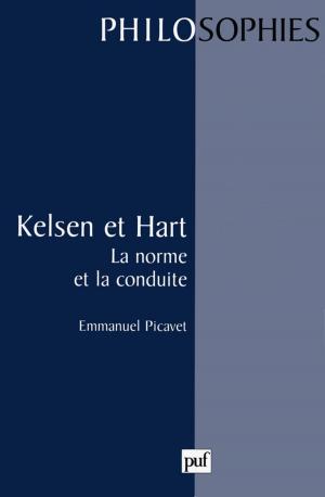 Cover of the book Kelsen et Hart by Margit Eva Bernard