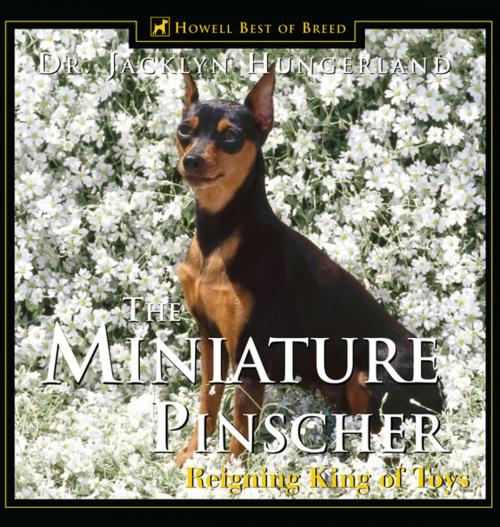 Cover of the book Miniature Pinscher by Jacklyn E. Hungerland, Turner Publishing Company