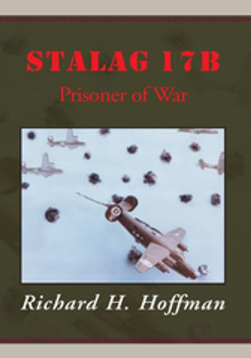 Cover of the book Stalag 17B by Richard H. Hoffman  Lt. Col. USAF, Xlibris US