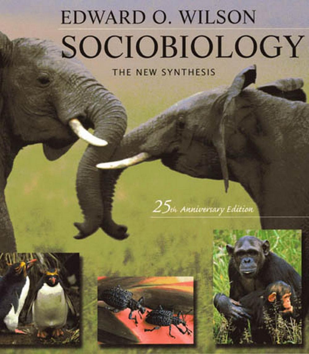 Big bigCover of Sociobiology