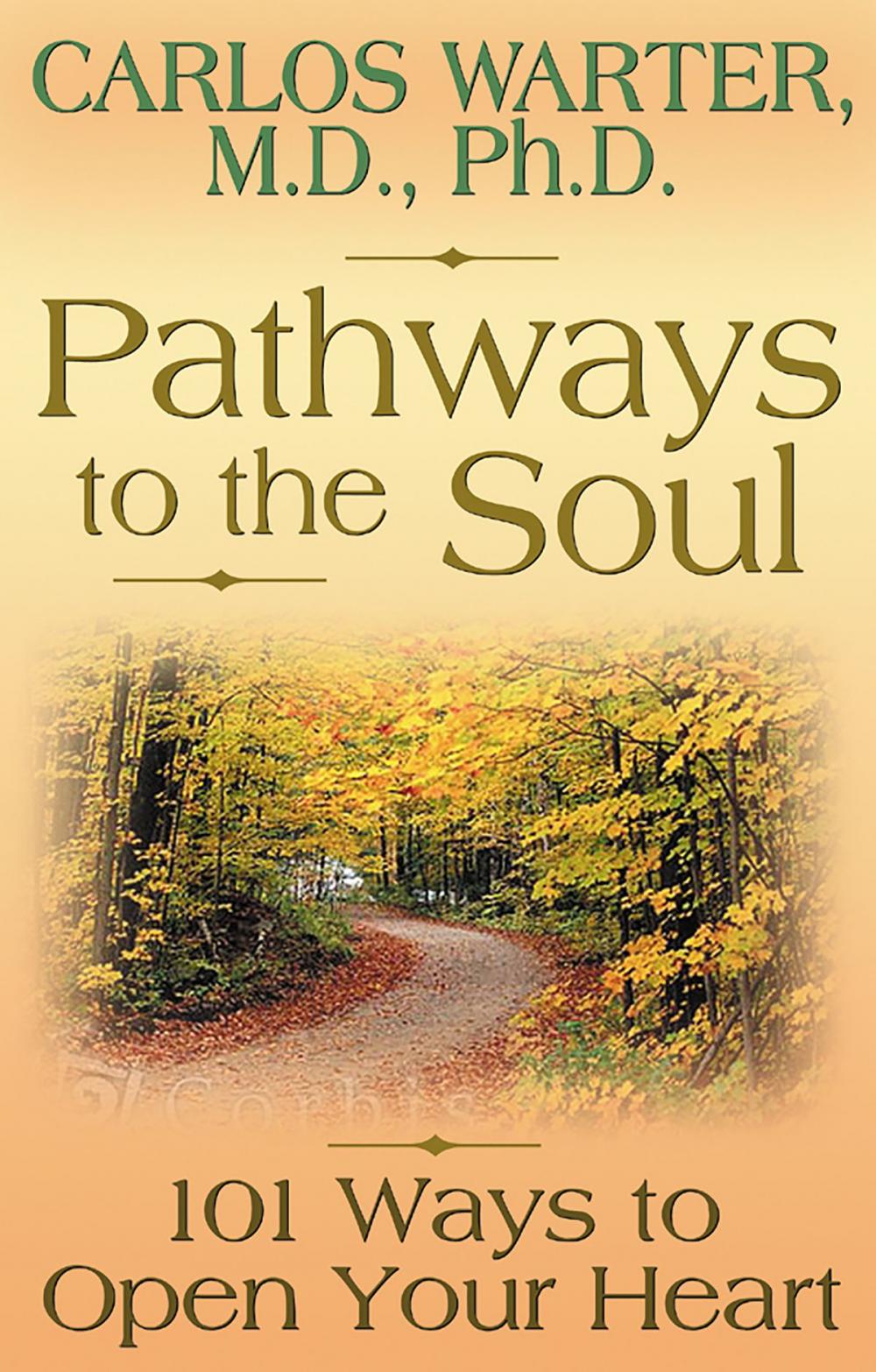 Big bigCover of Pathways to the Soul