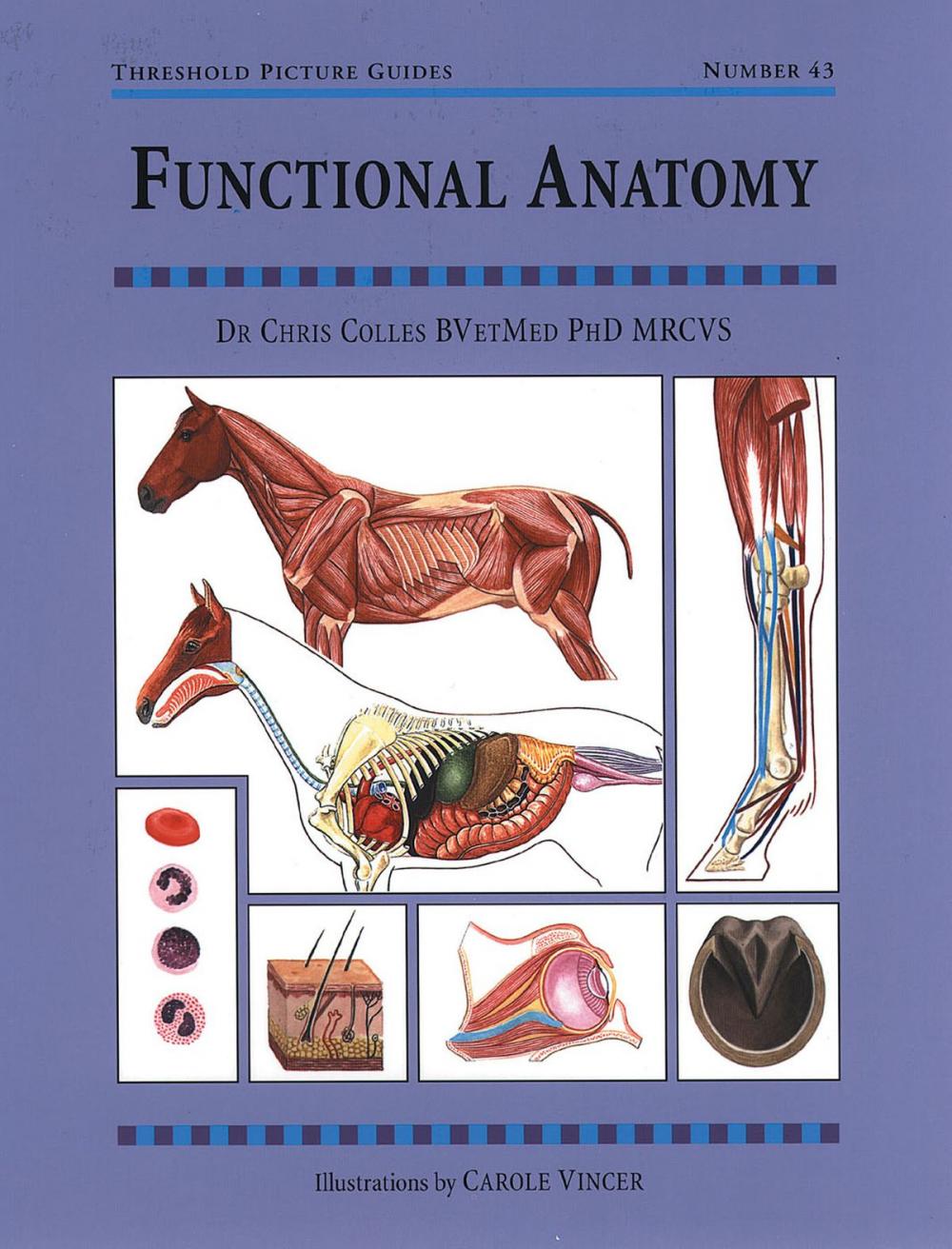 Big bigCover of FUNCTIONAL ANATOMY