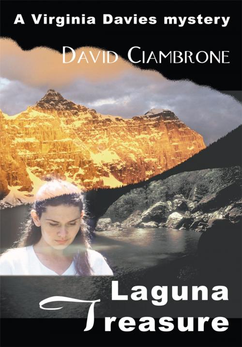 Cover of the book Laguna Treasure by David Ciambrone, iUniverse