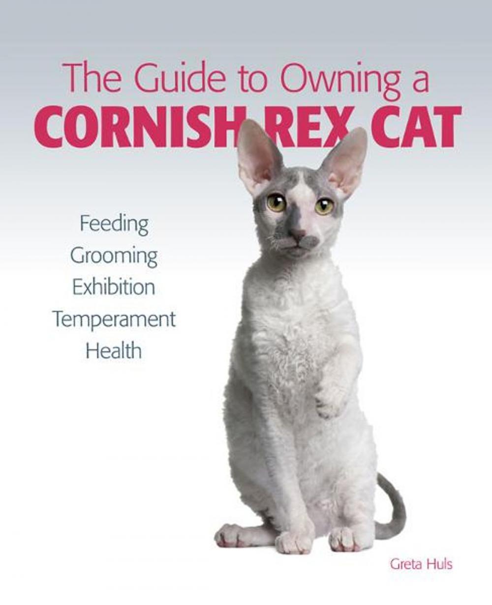 Big bigCover of Guide to Owning a Cornish Rex Cat