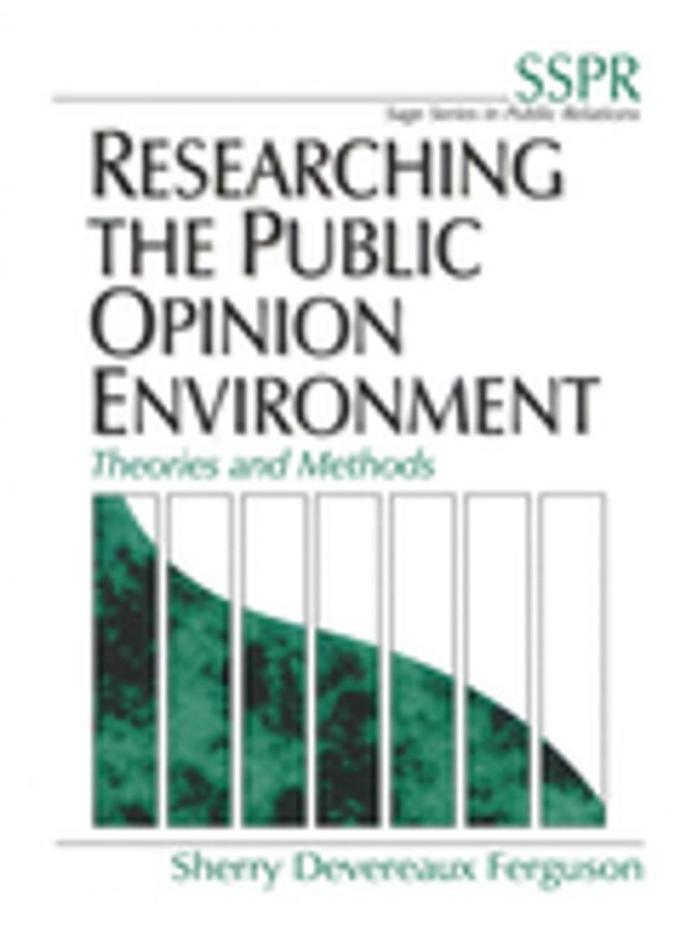 Big bigCover of Researching the Public Opinion Environment