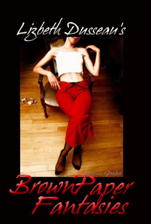 Cover of the book Brown Paper Fantasies by Lizbeth Dusseau, Pink Flamingo Media