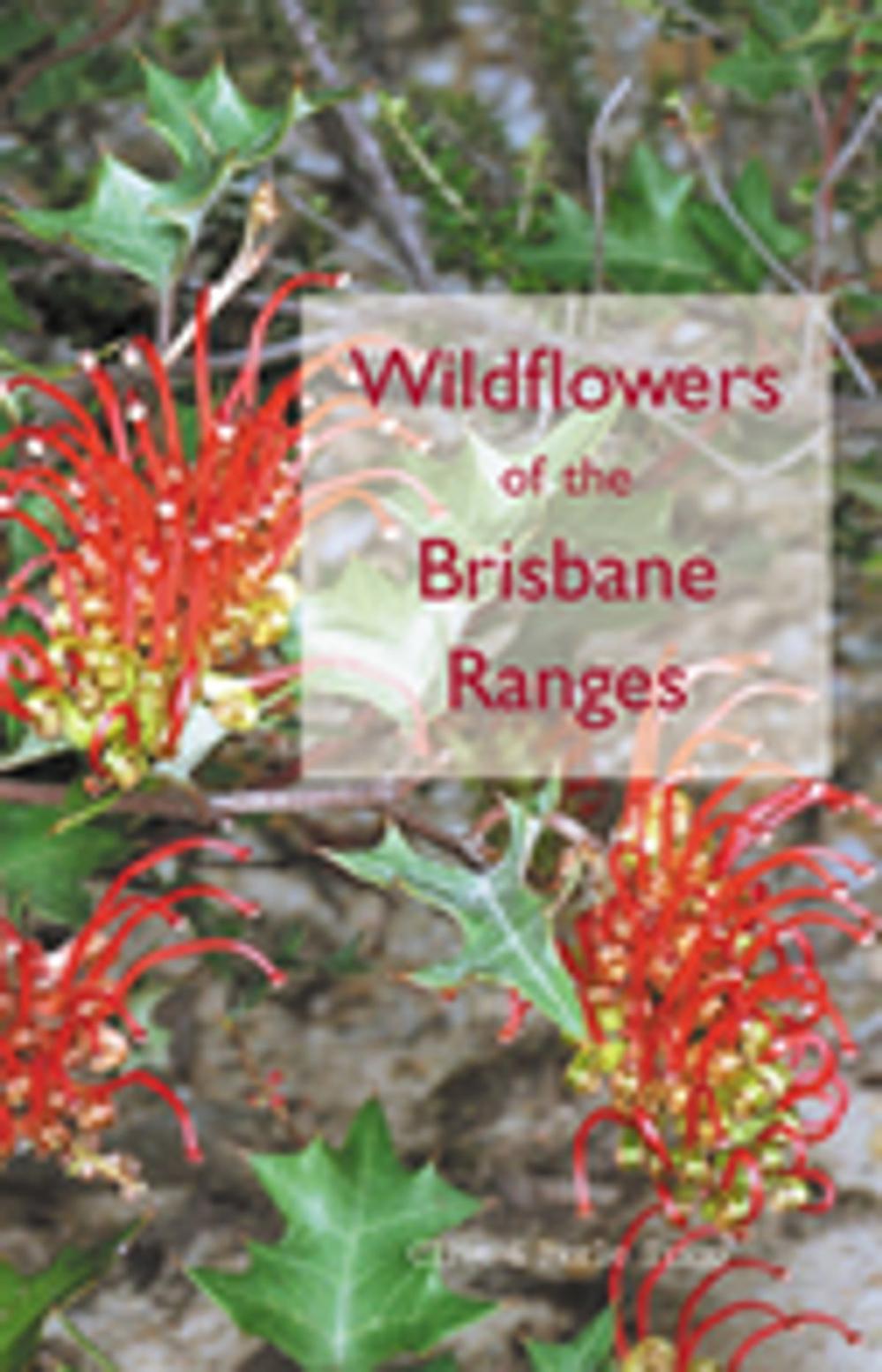 Big bigCover of Wildflowers of the Brisbane Ranges