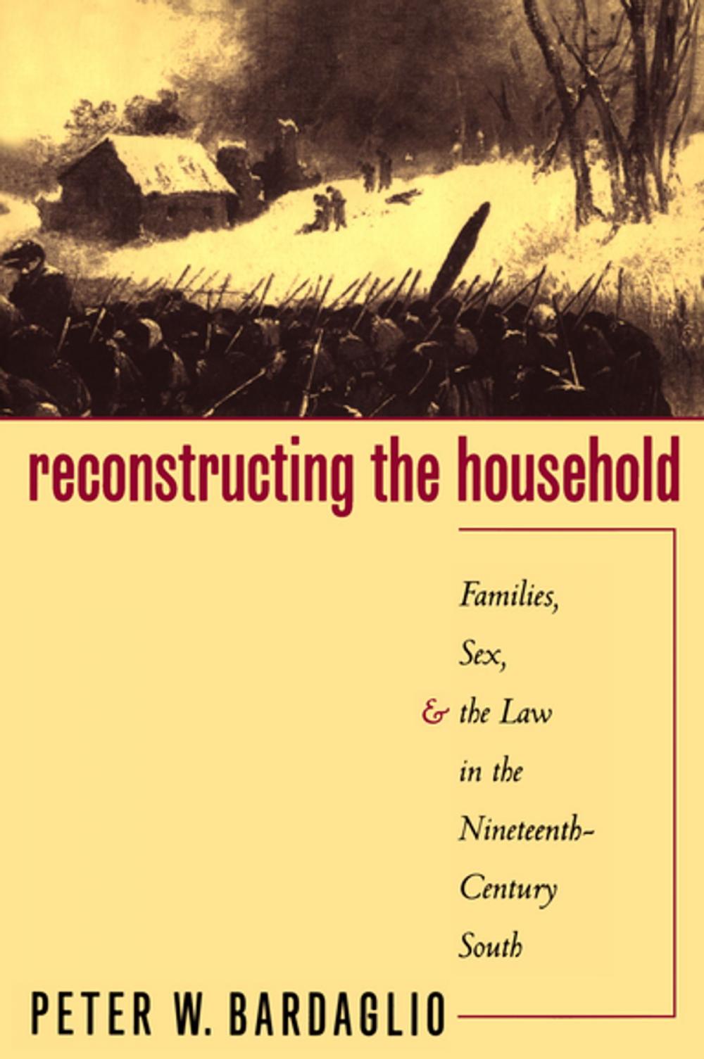 Big bigCover of Reconstructing the Household