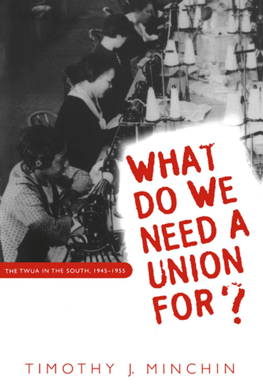 Big bigCover of What Do We Need a Union For?