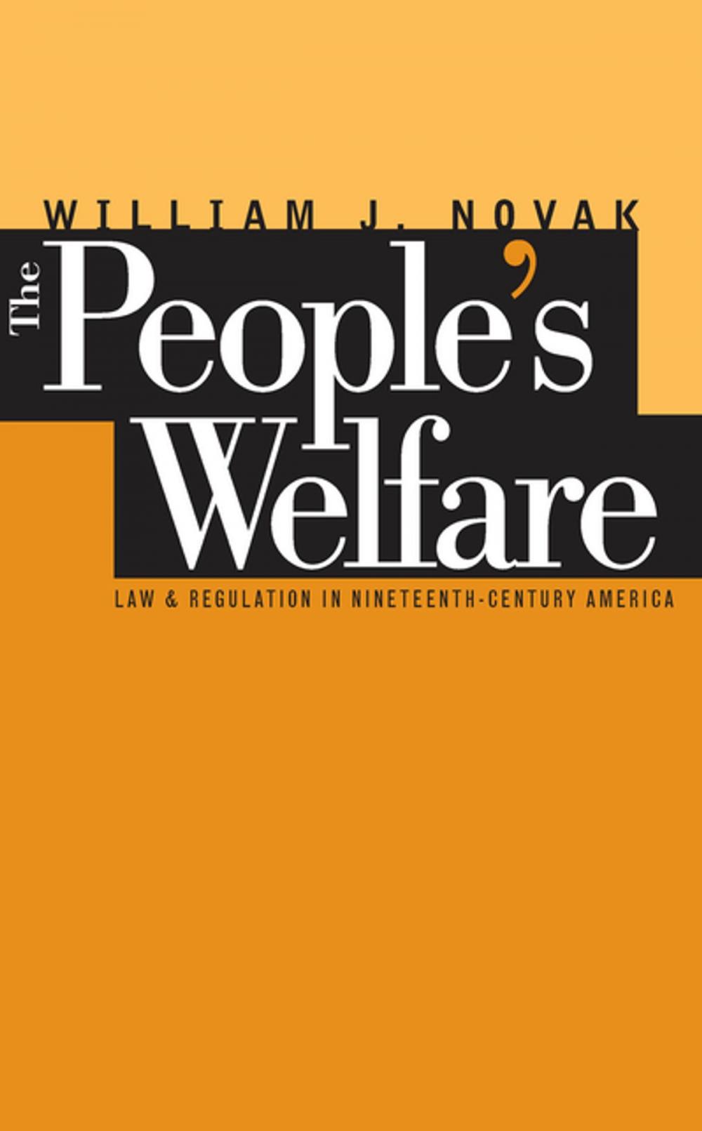 Big bigCover of The People’s Welfare