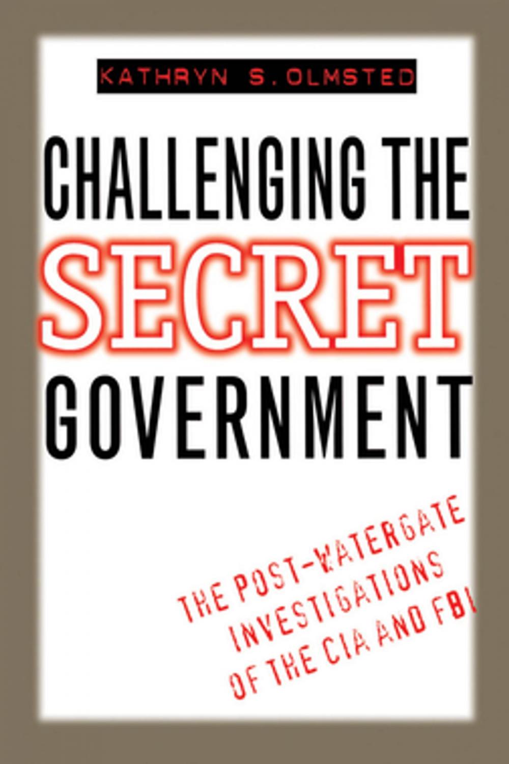 Big bigCover of Challenging the Secret Government