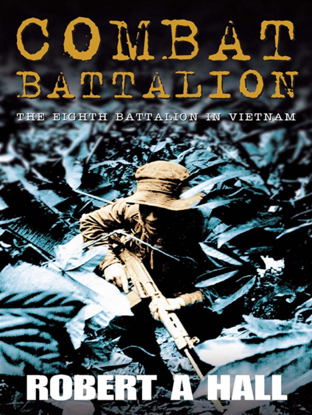 Big bigCover of Combat Battalion