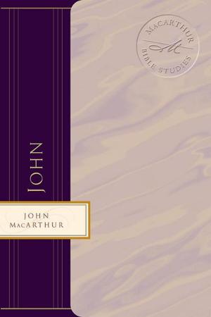 Cover of the book John by Carol Umberger
