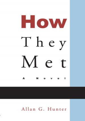 Cover of the book How They Met by Dr. R akesh K. Mehta