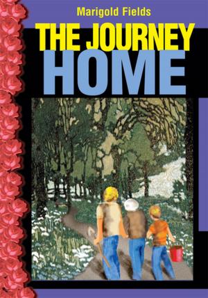 Cover of the book The Journey Home by Tom Stockburger