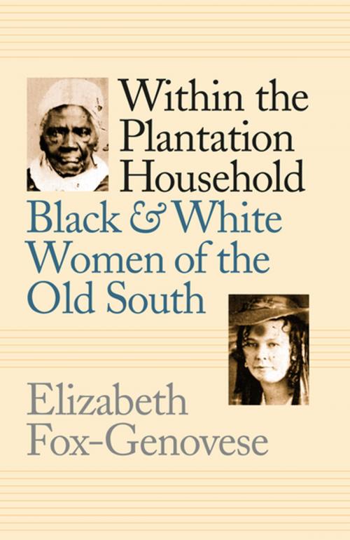 Cover of the book Within the Plantation Household by Elizabeth Fox-Genovese, The University of North Carolina Press