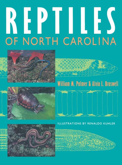Cover of the book Reptiles of North Carolina by William M. Palmer, Alvin L. Braswell, The University of North Carolina Press