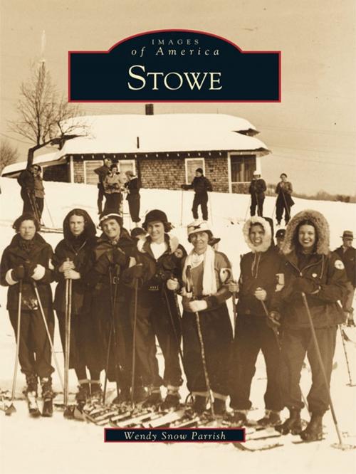 Cover of the book Stowe by Wendy Snow Parrish, Arcadia Publishing Inc.