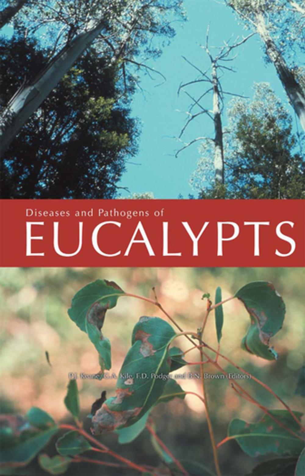 Big bigCover of Diseases and Pathogens of Eucalypts