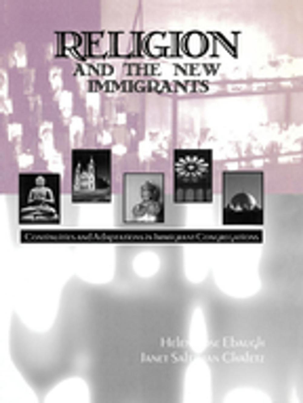 Big bigCover of Religion and the New Immigrants