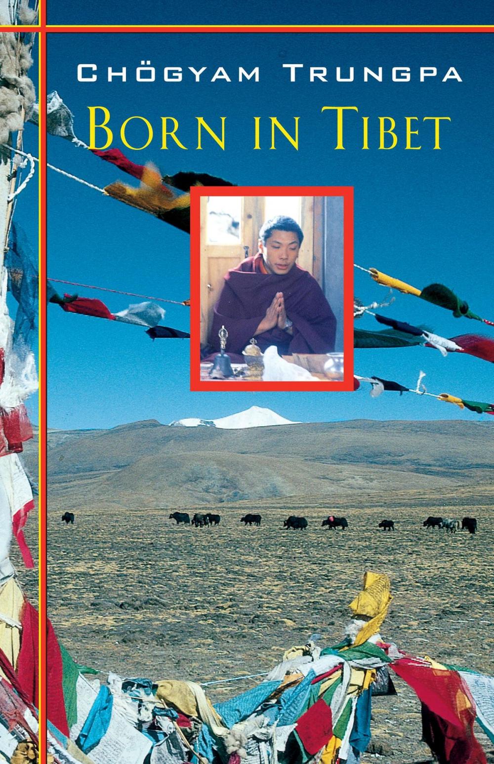 Big bigCover of Born in Tibet