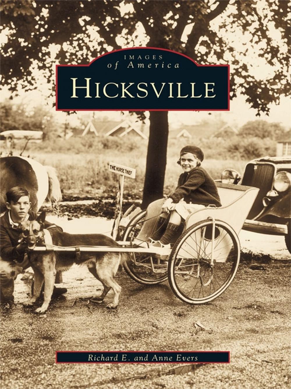 Big bigCover of Hicksville